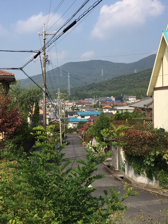 2015-10-24 12.11.21.jpg