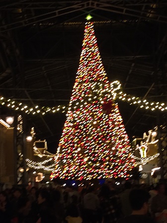 2015-11-21 18.50.21.jpg