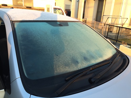 2015-12-09 07.06.34.jpg