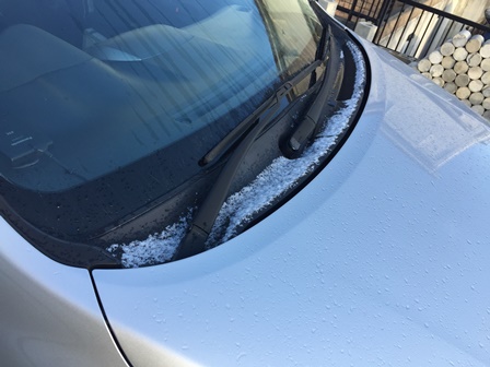 2016-01-20 07.58.56.jpg