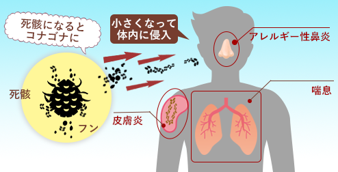 結露による健康被害