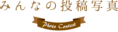 みんなの投稿写真