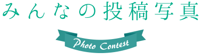 みんなの投稿写真