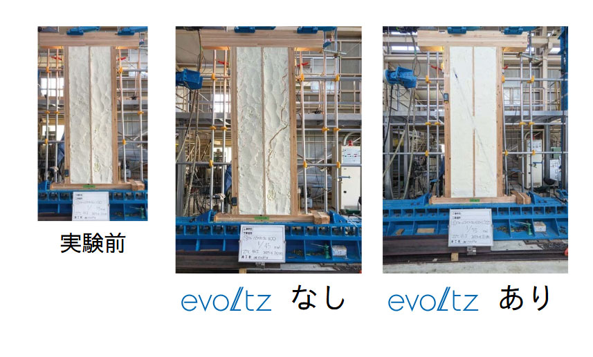 evoltz実験