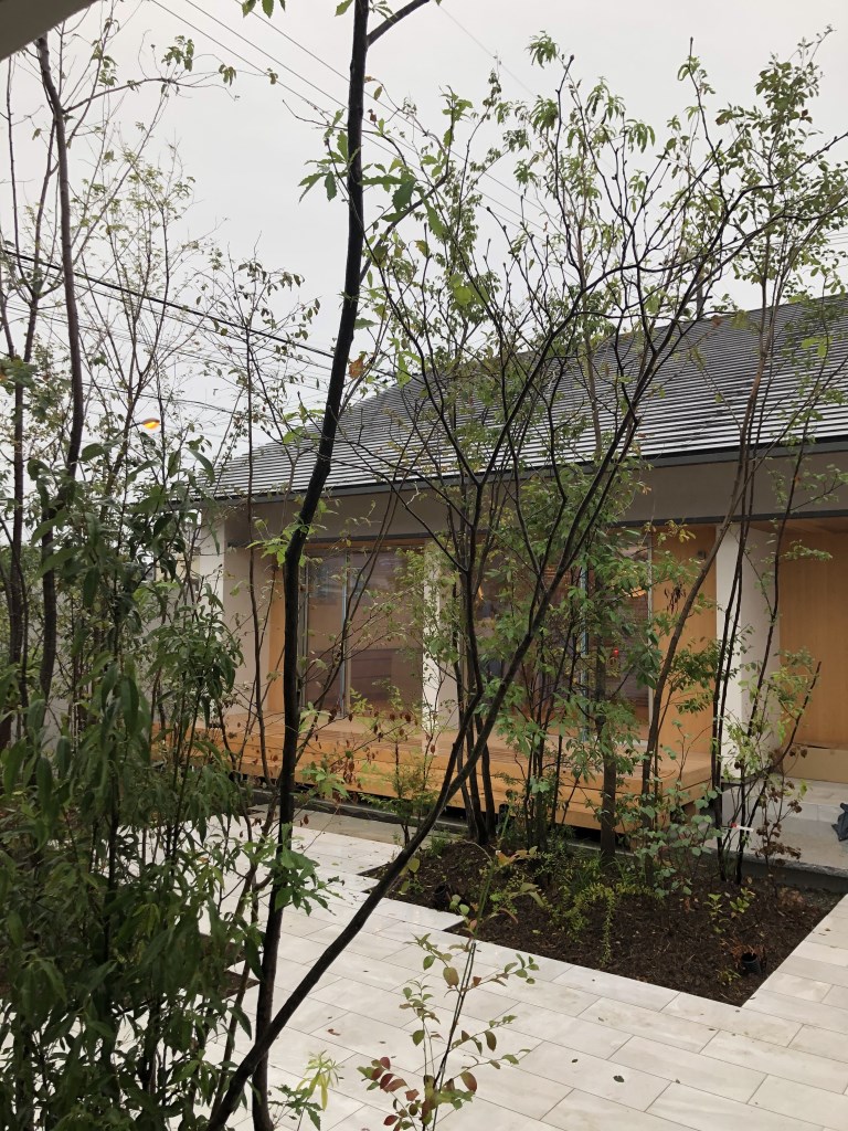 雑木の庭も出来上がって来ました 浜松 名古屋 豊橋で健康住宅の一戸建て 注文住宅ならアイジースタイルハウス