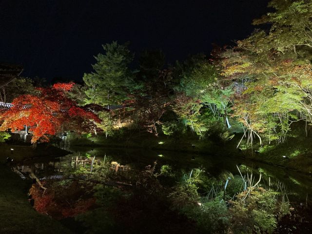 高台寺　夜景