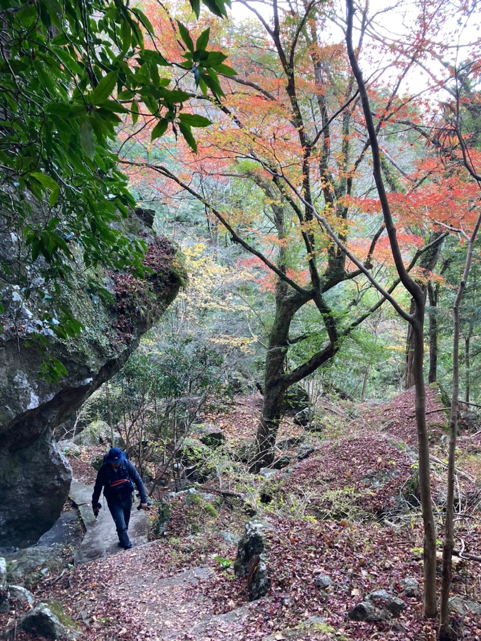 自然の効果