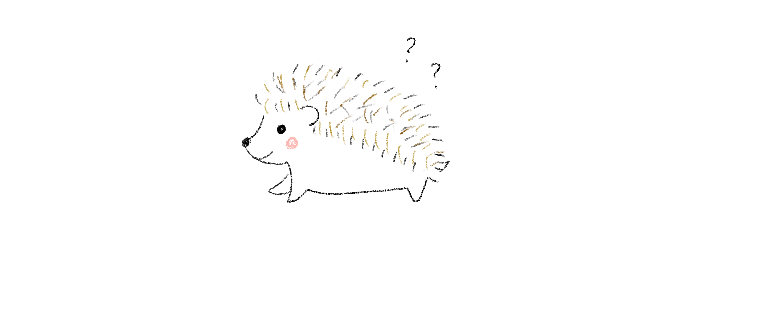 ハリネズミのインテリア🦔