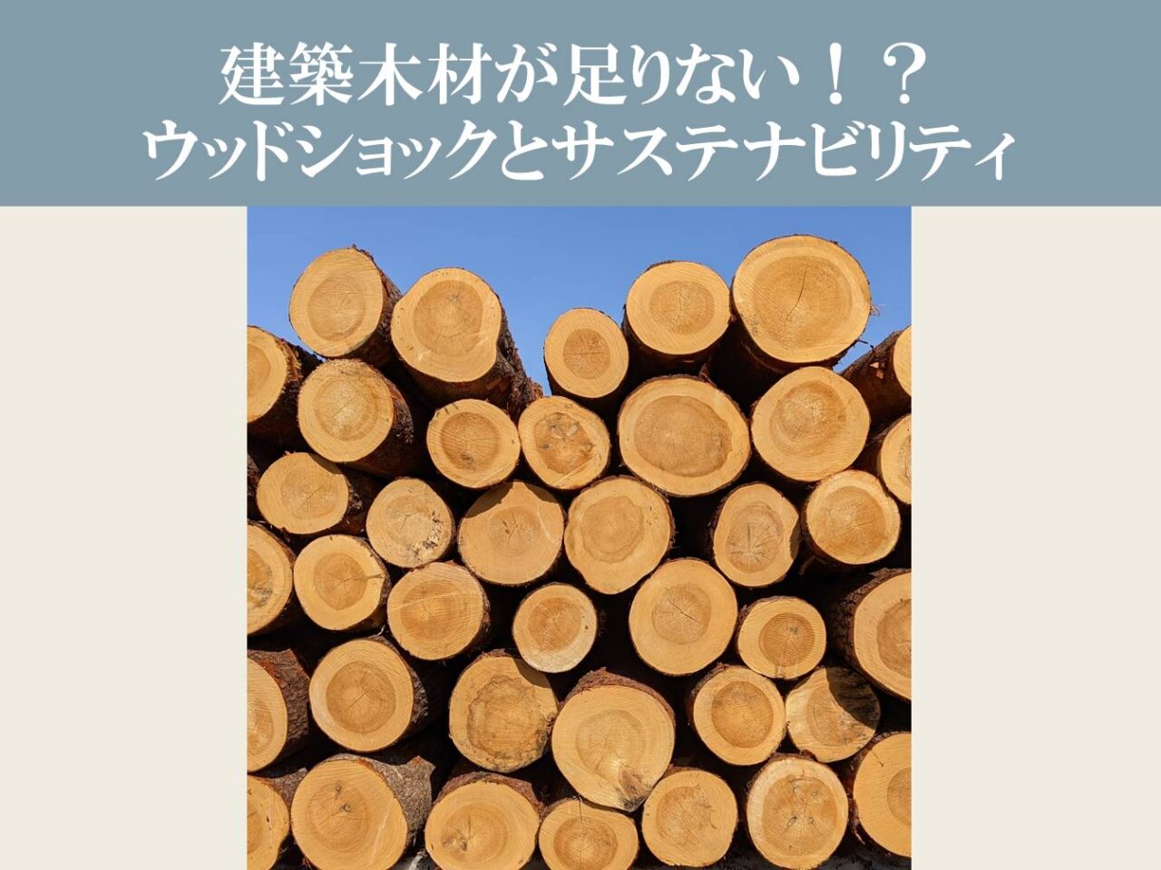 建築木材が足りない！？ウッドショックとサステナビリティ