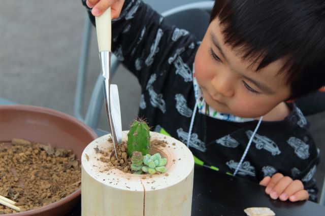 寄せ植え