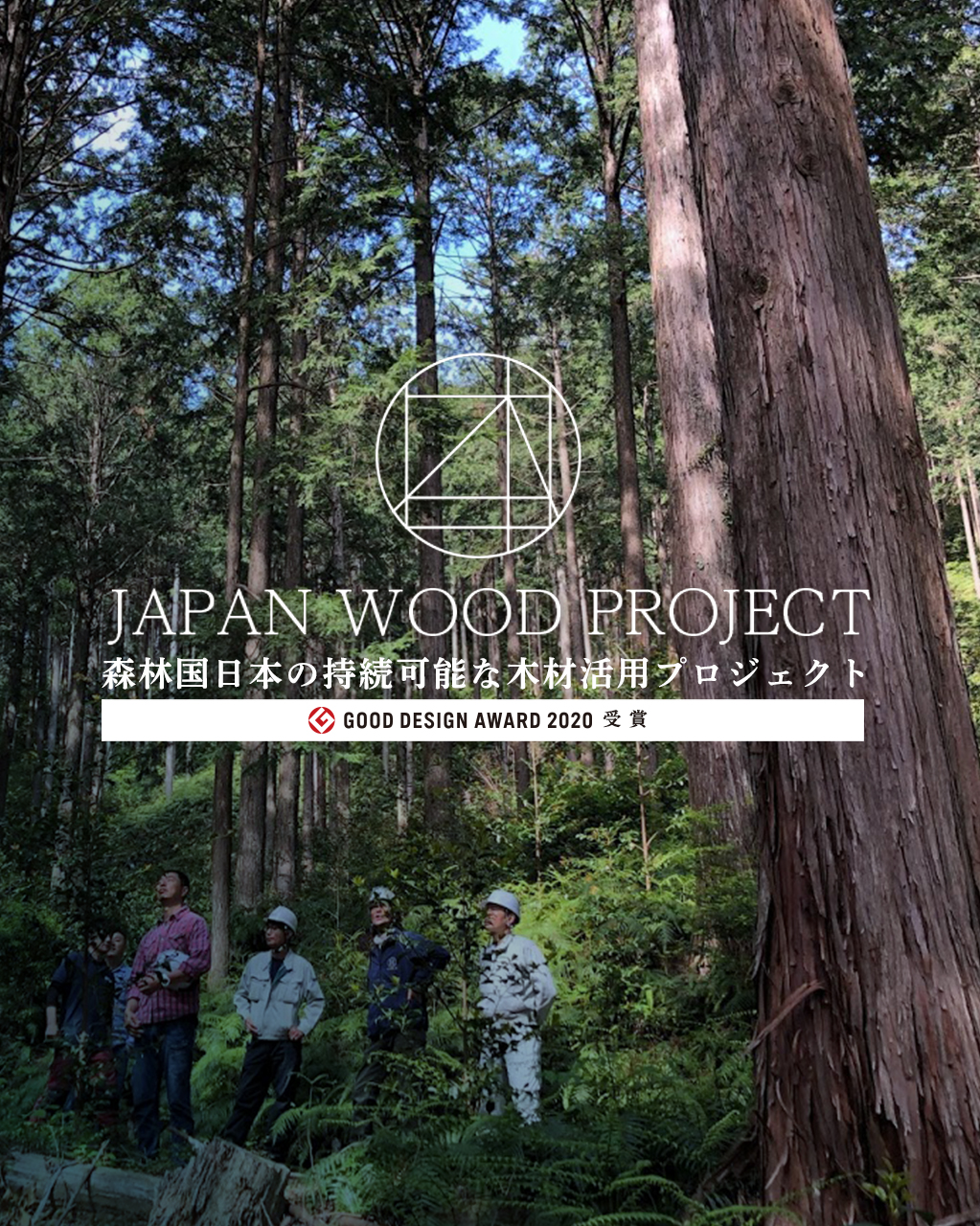 JAPANWOODPROJECT（SP）