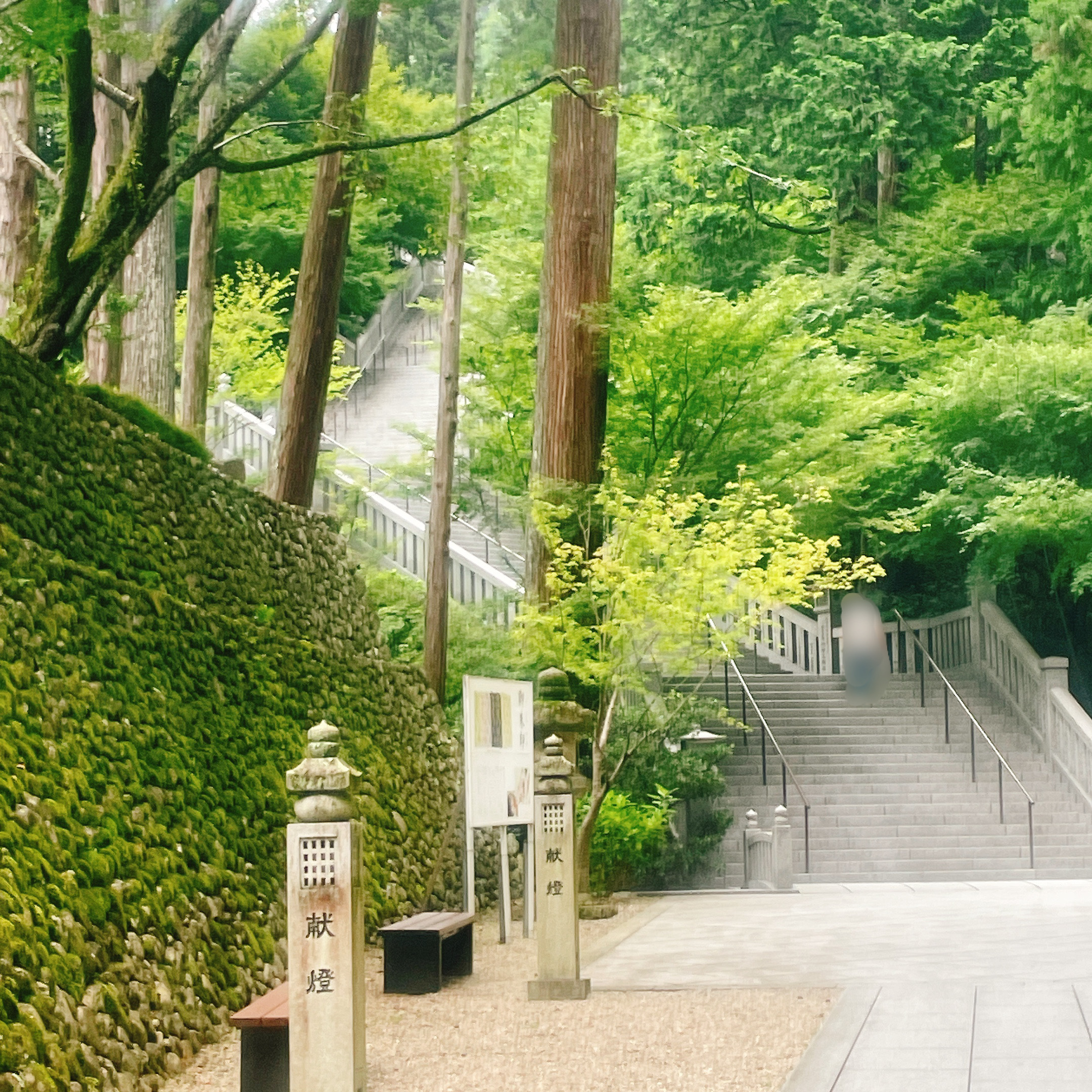 法多山　階段の様子