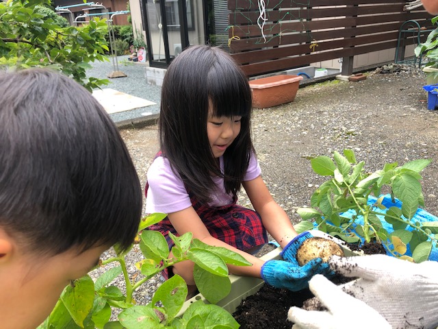 野菜を食べてほしいと願う親