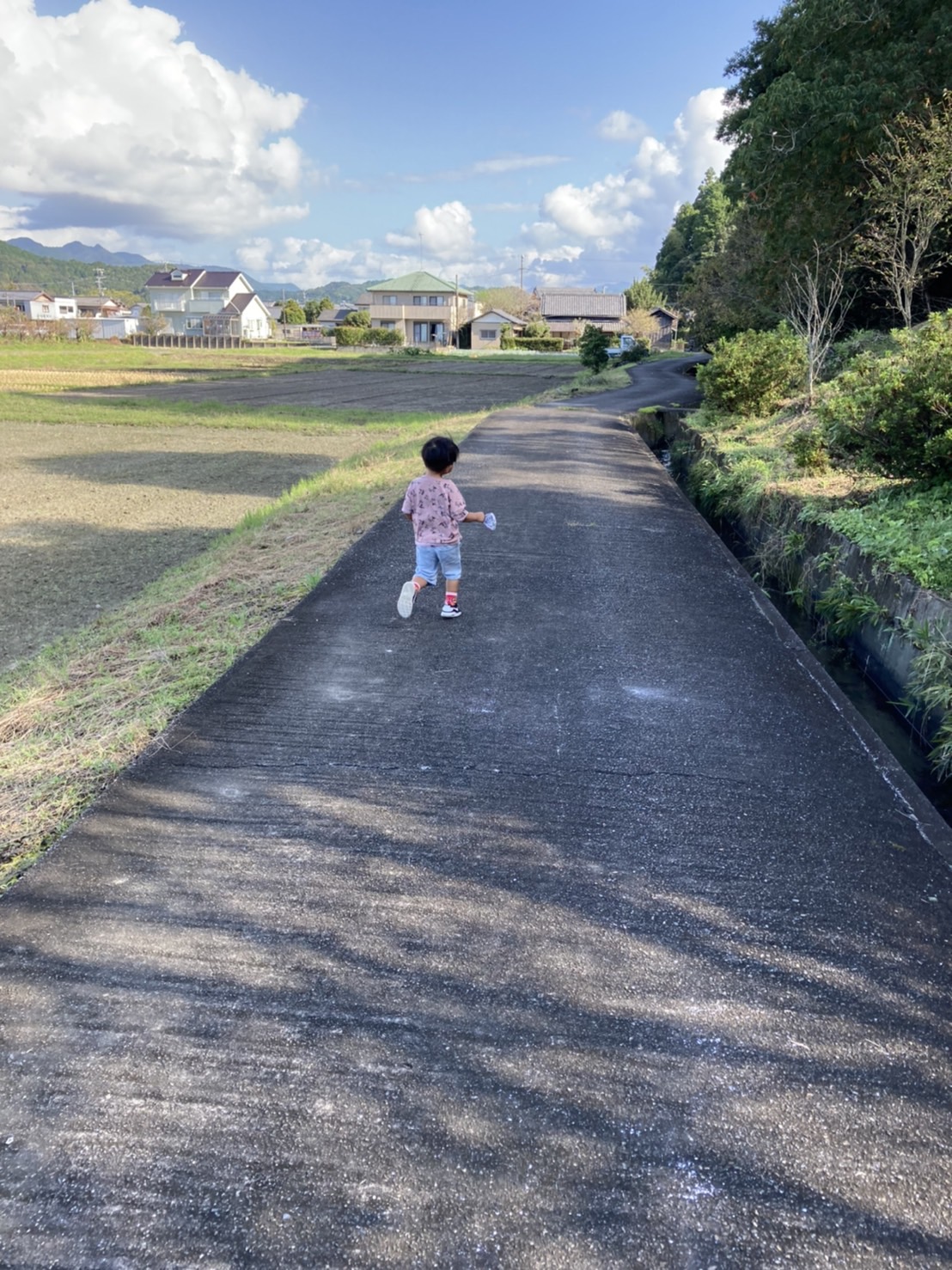 秋の田舎の風景