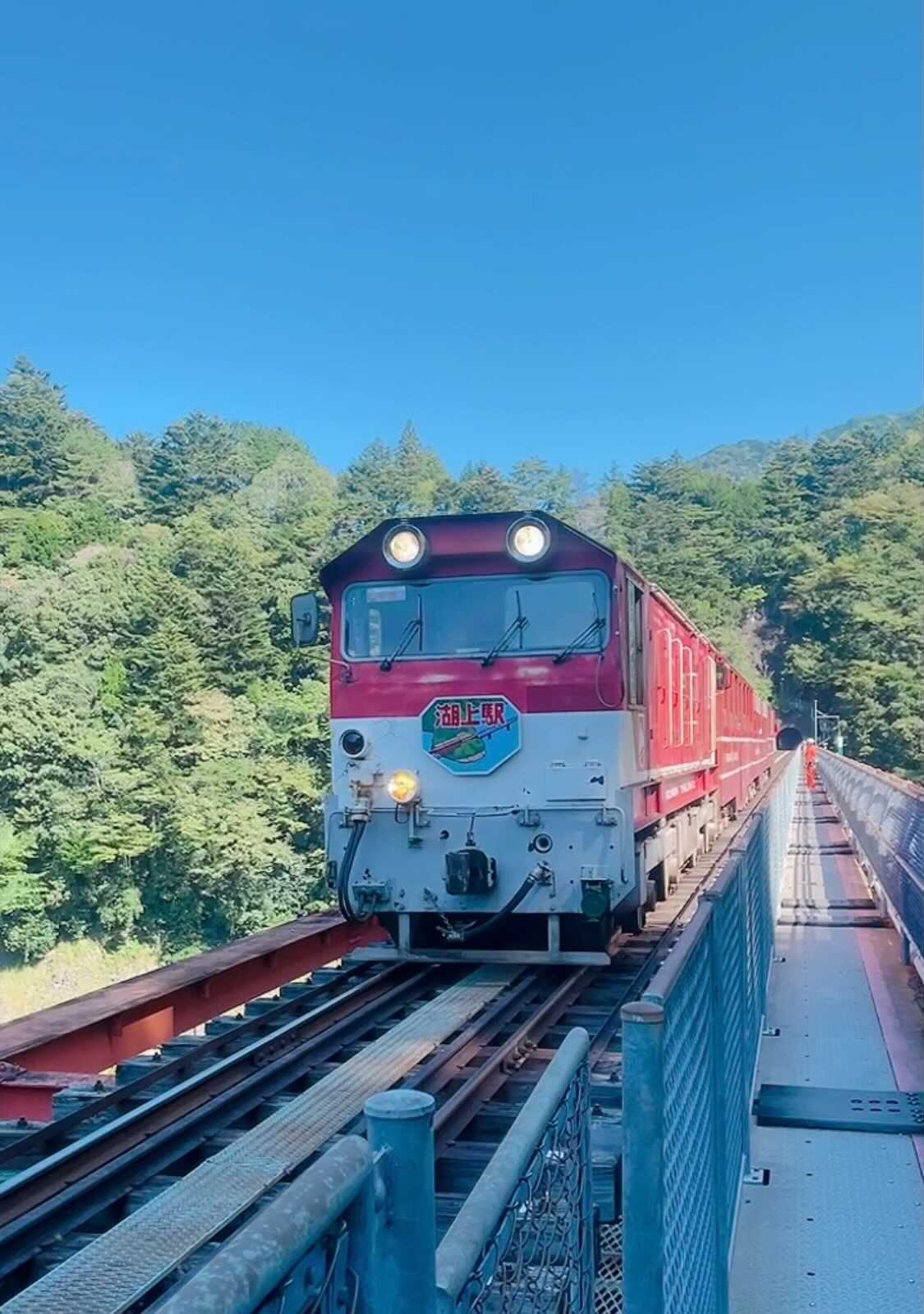 奥大井湖上駅の電車の様子
