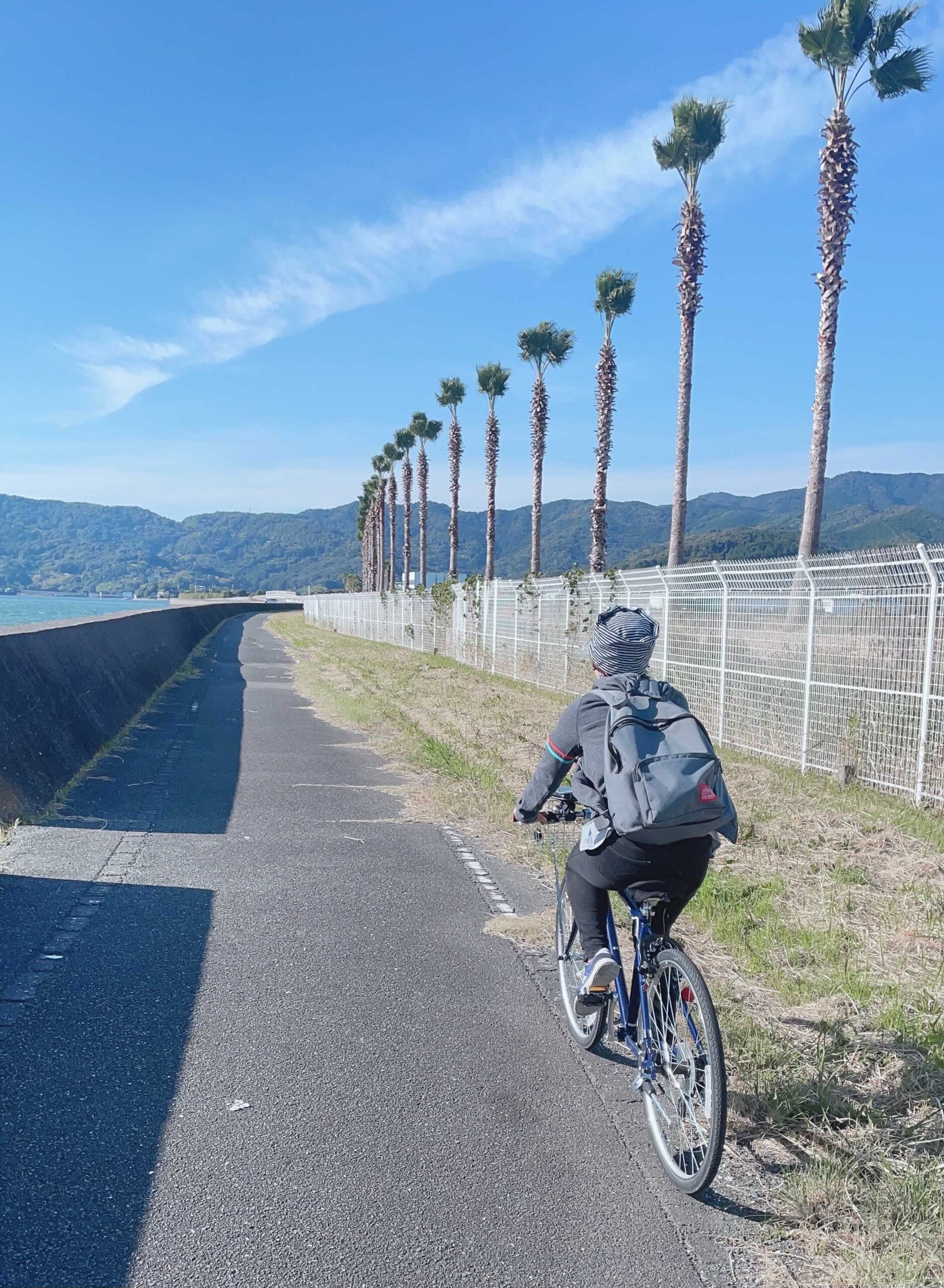 自転車に乗る様子