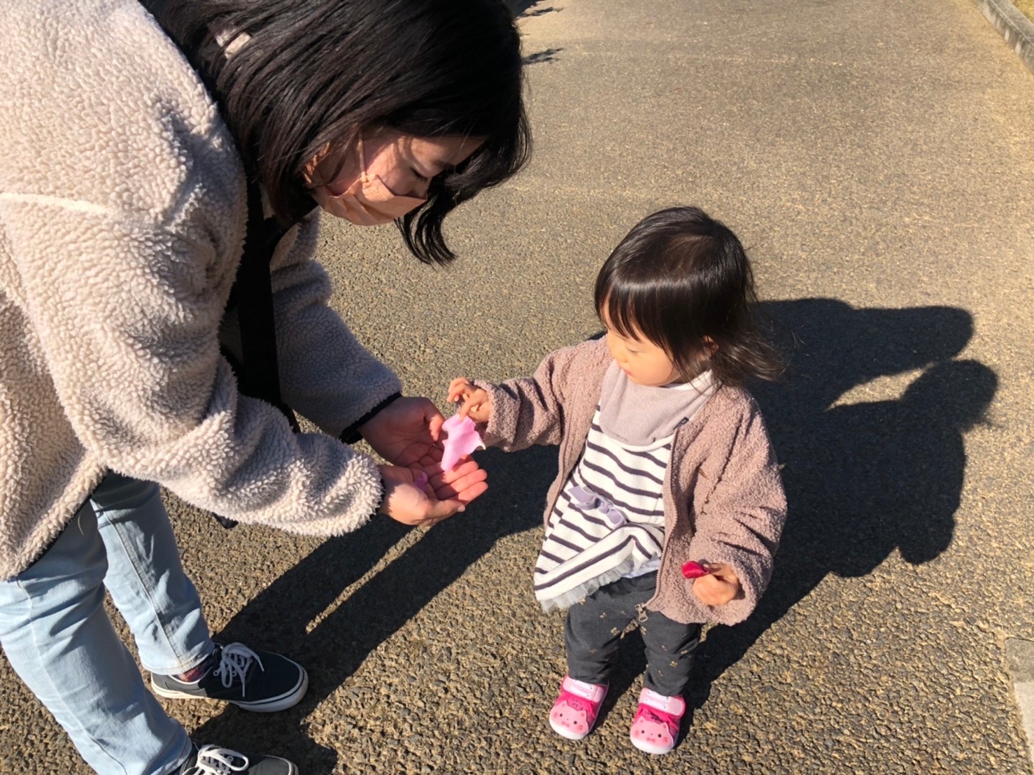 娘さんが花びらをくれる様子