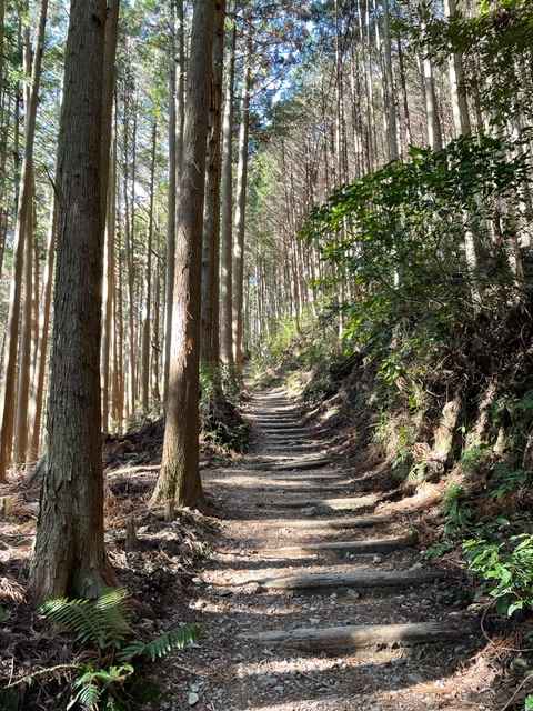 オジさんの山散歩日記