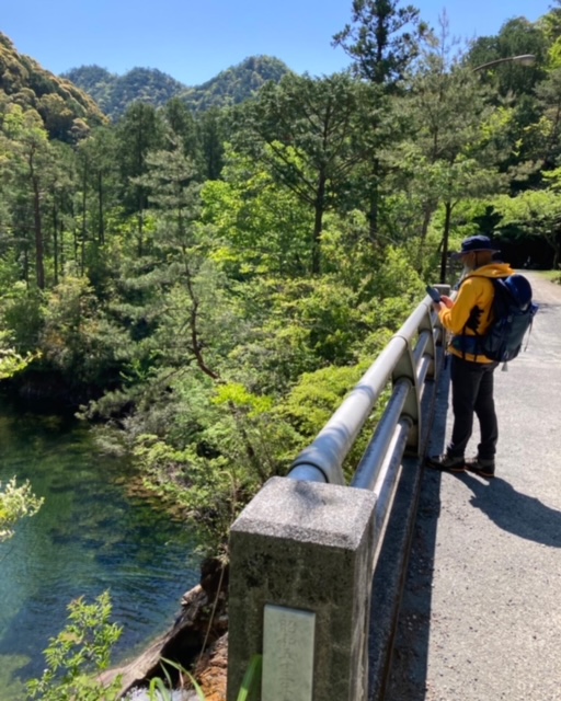 オジ山歩日記　③　シャクナゲを満喫　