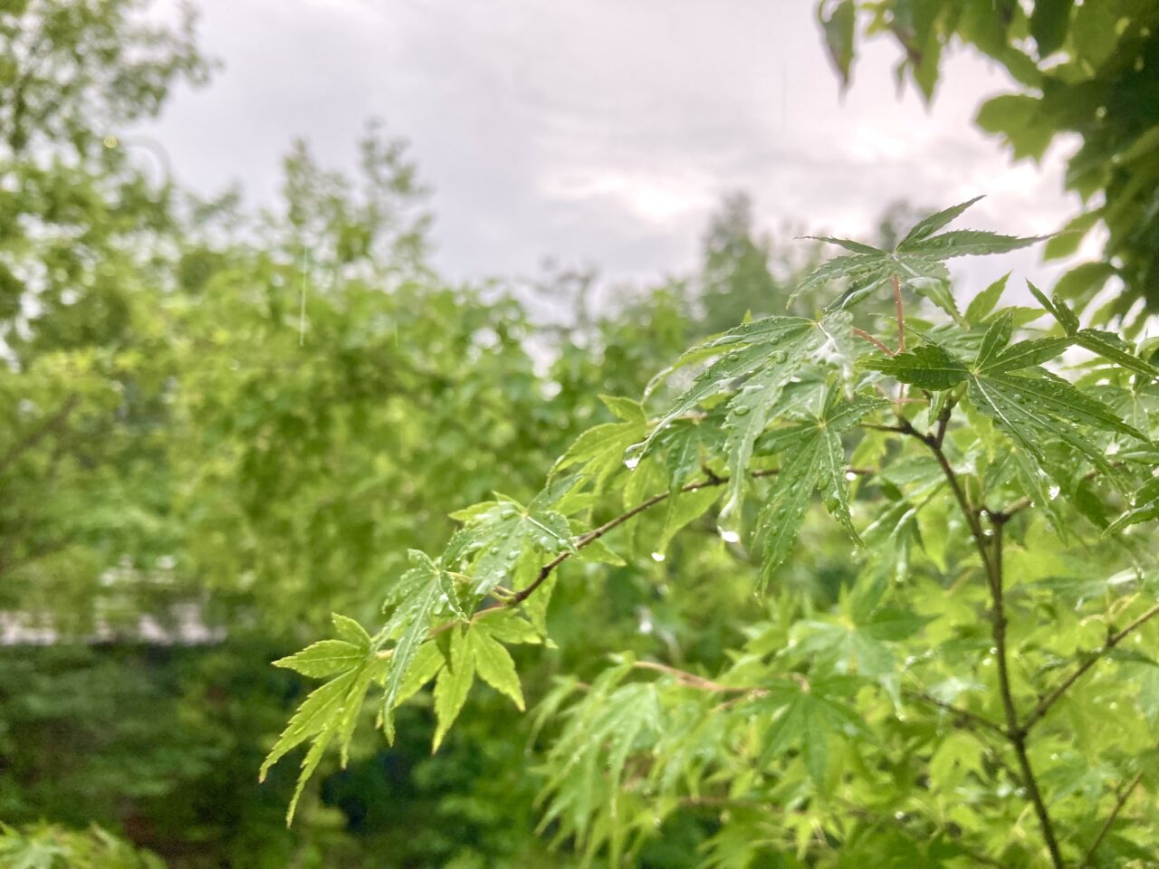 雨が降っても快適空間　～軒下っていいな～