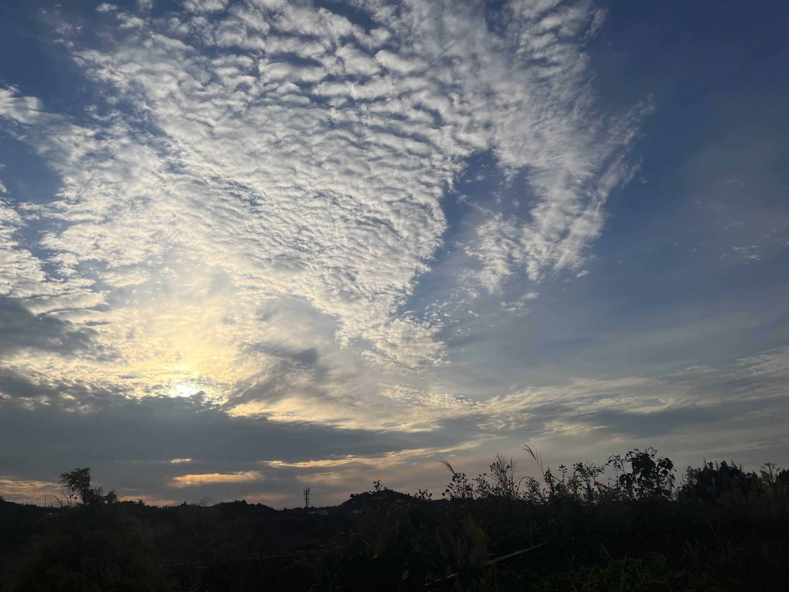 お気に入りの照明