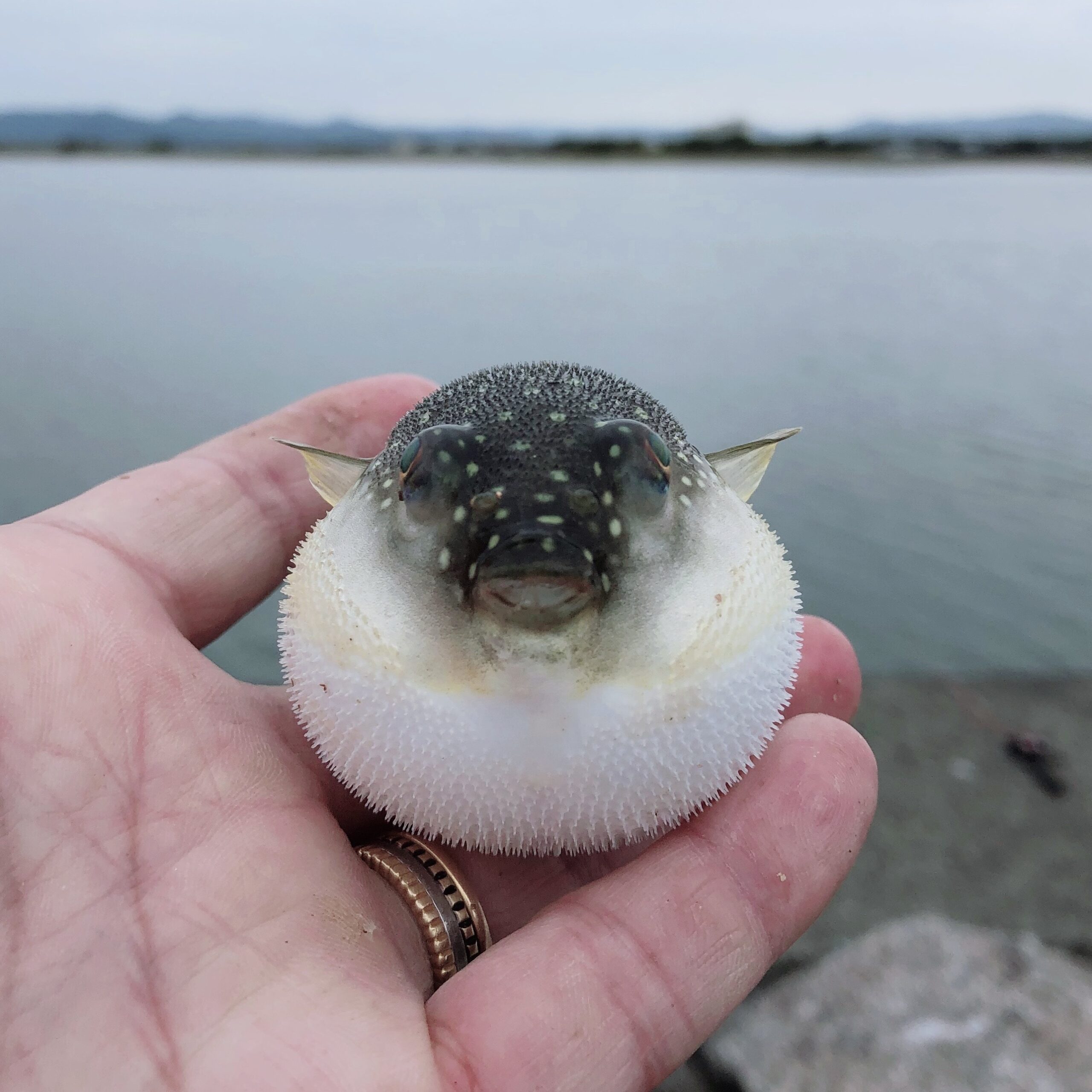 家に窓が無い！？