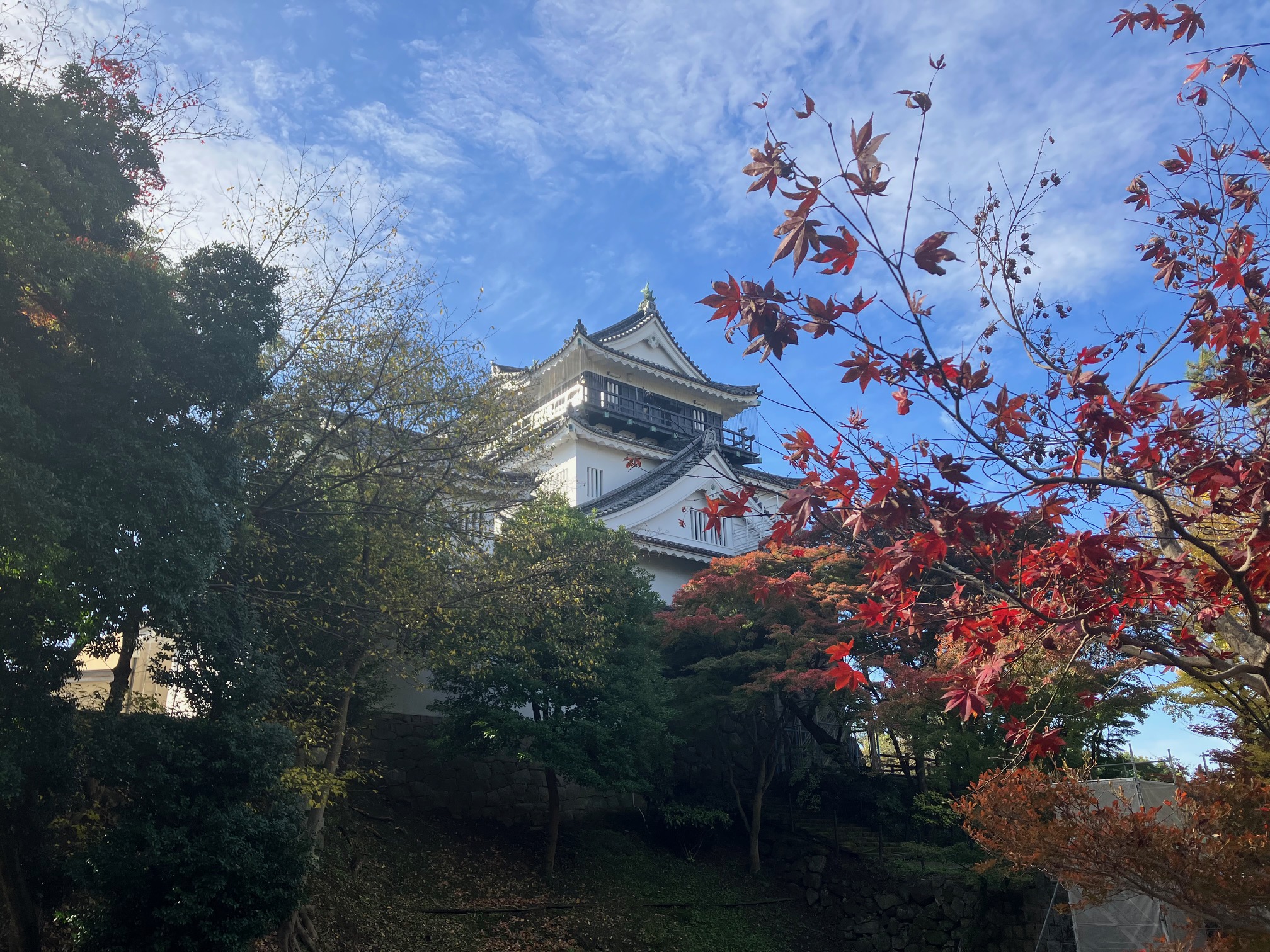 岡崎城まで歩いてみた。