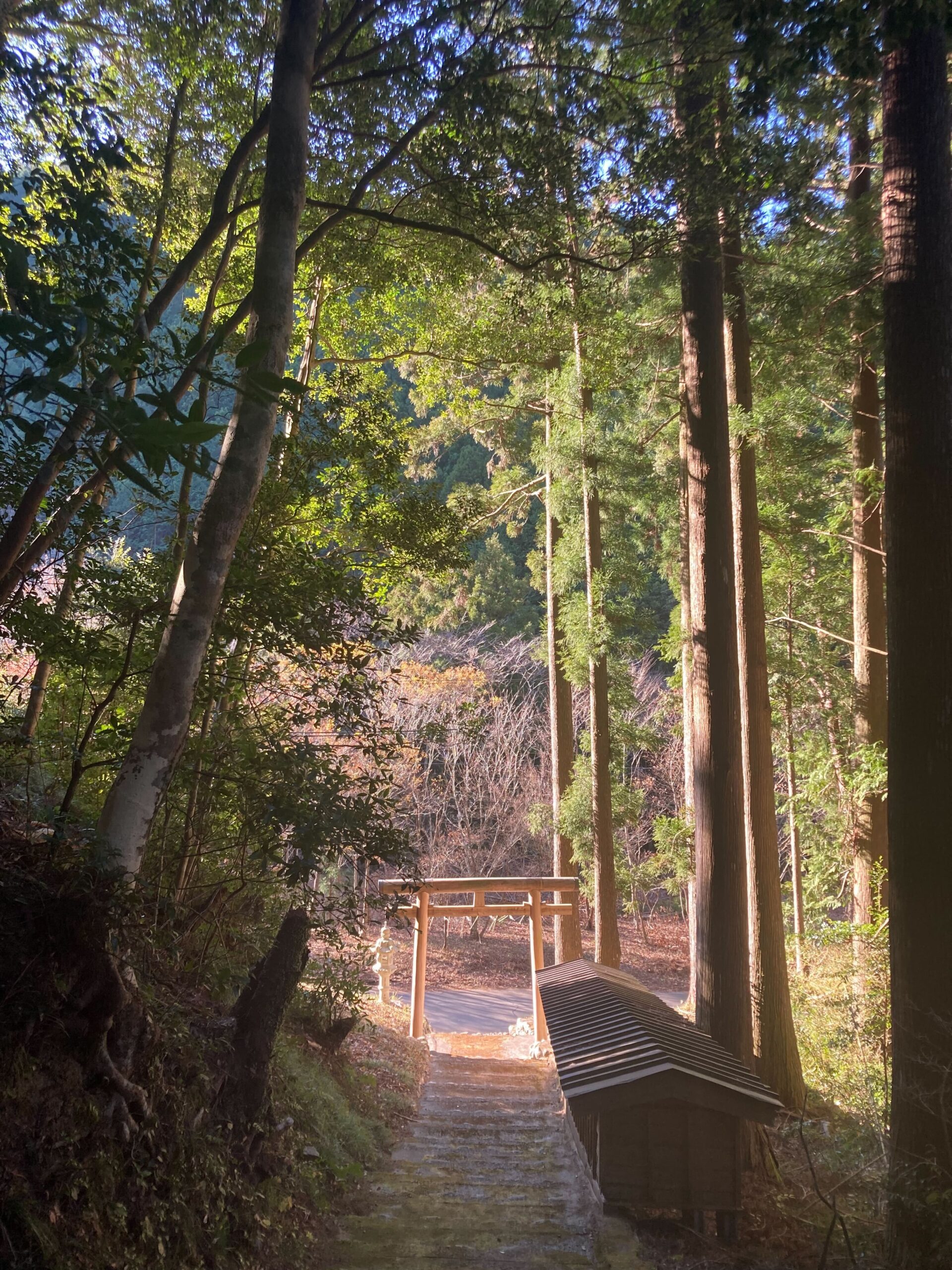 神秘的な神社　田舎