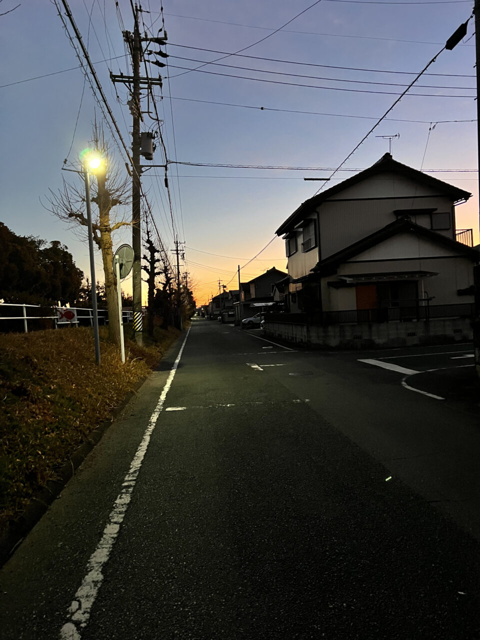 散歩道についに