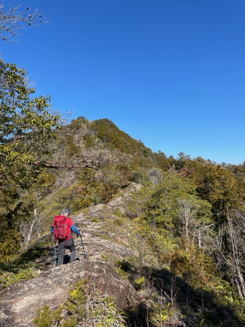 オジ山歩　愛知県民の森を歩く