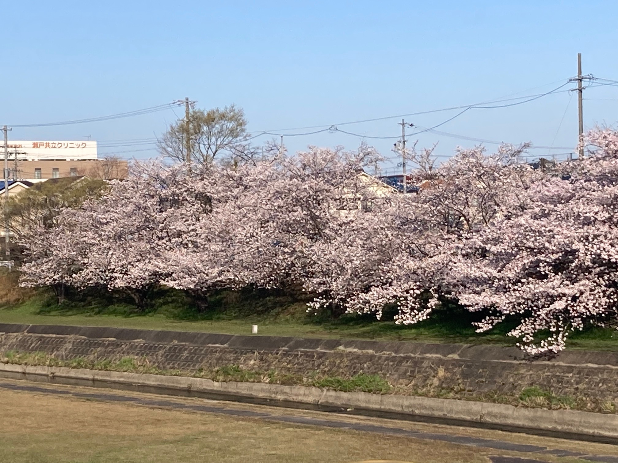 新店舗をつくってます！