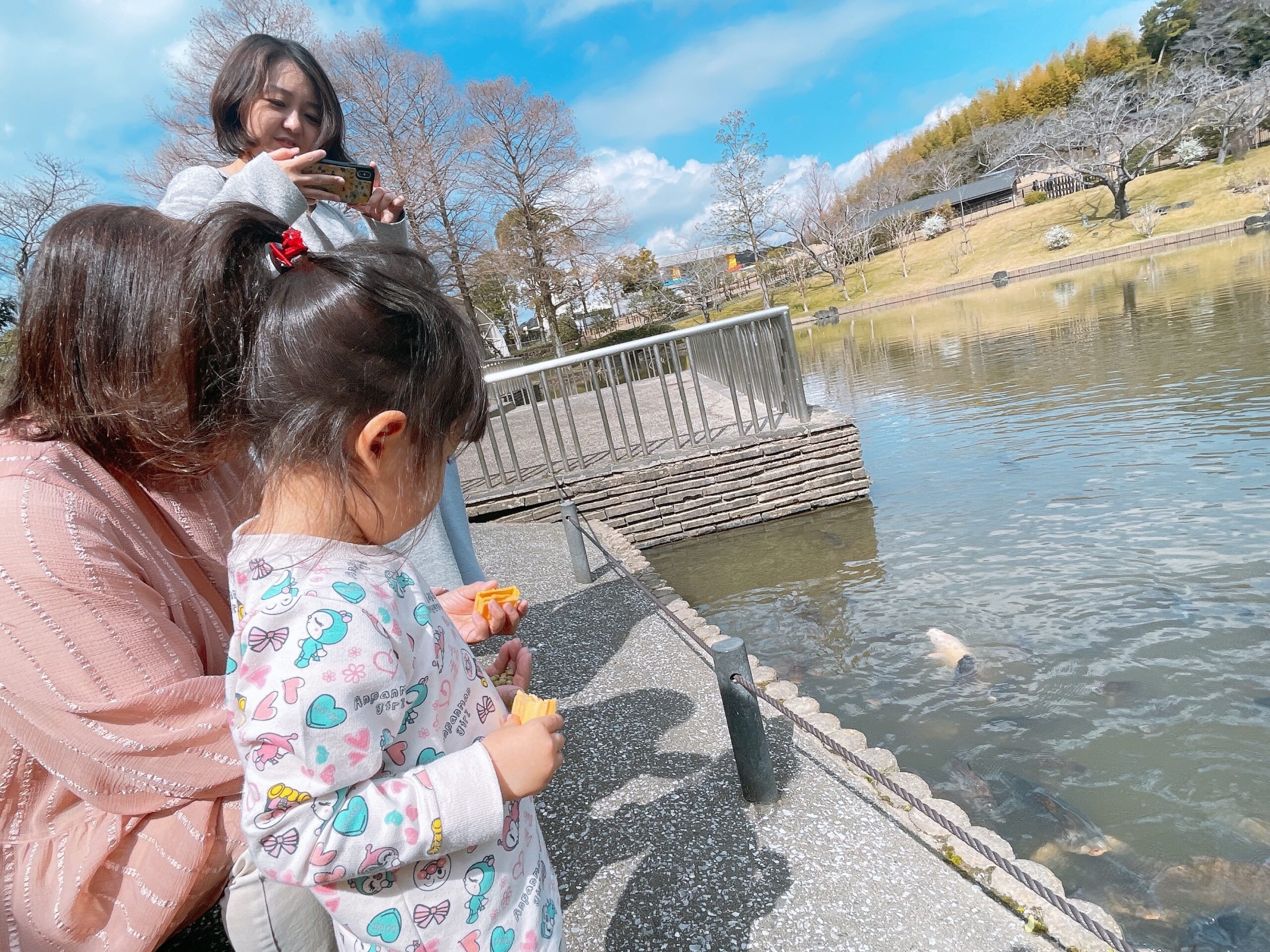 鯉に餌をあげる様子