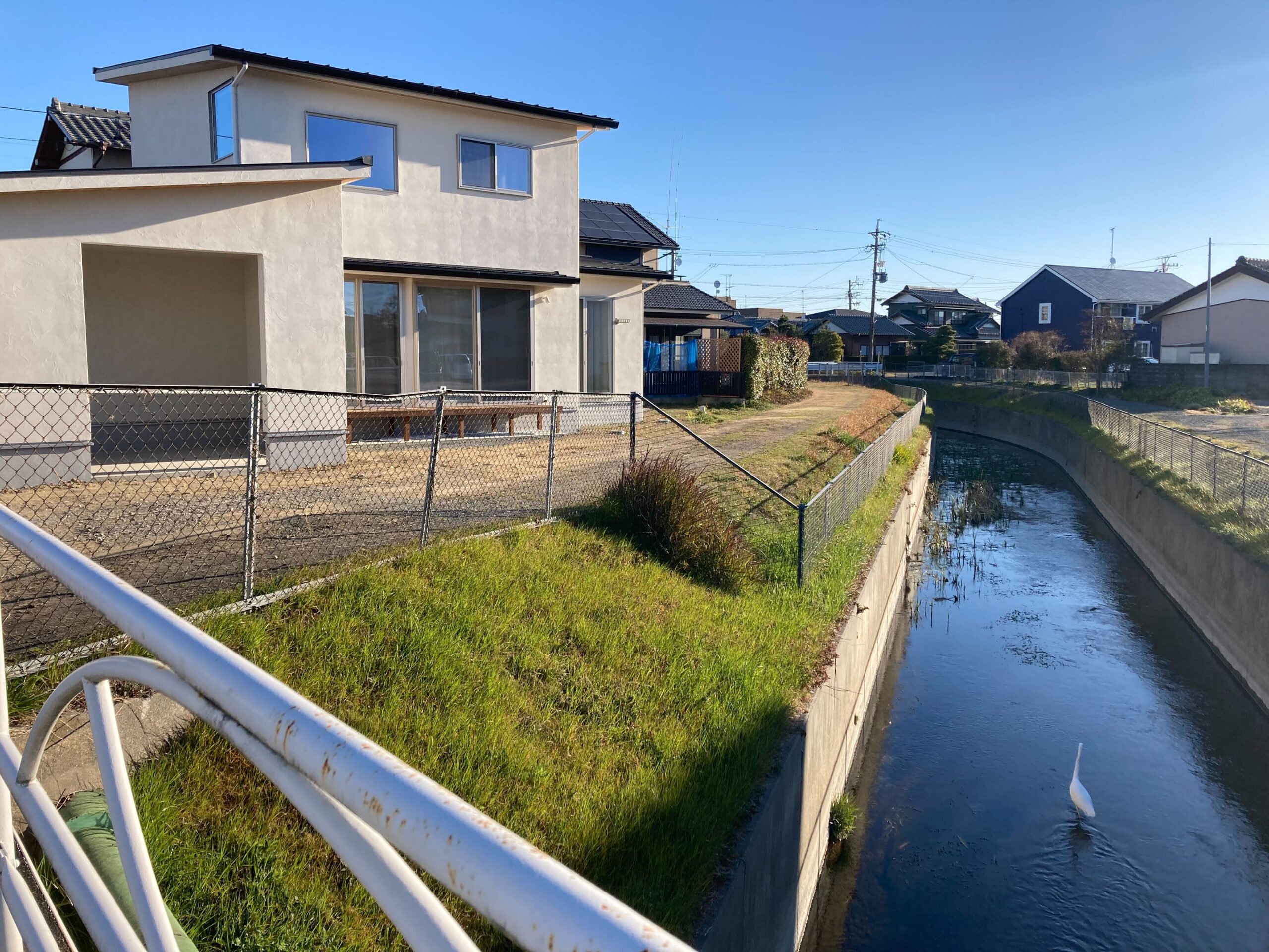 白サギを発見！カメやカモにも会えるかも。