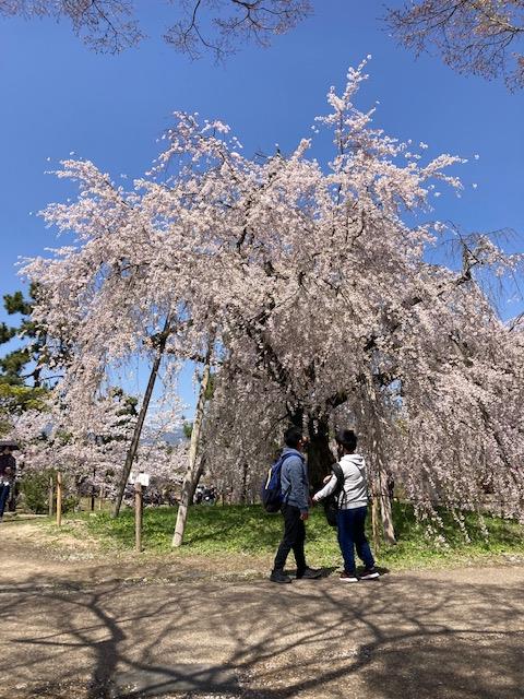 家事ゼロのお住まい