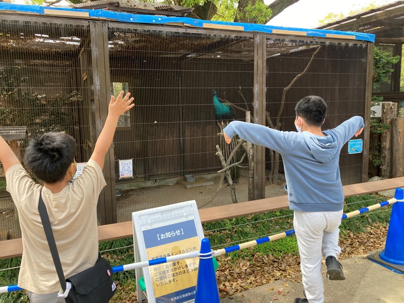 家づくりの思い出