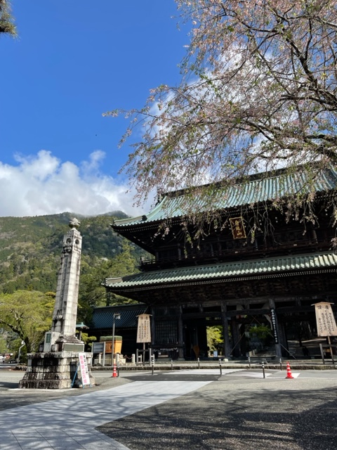 春のオジ散歩　身延山編　