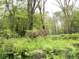 地球品質を想わせるビオトープな動物園