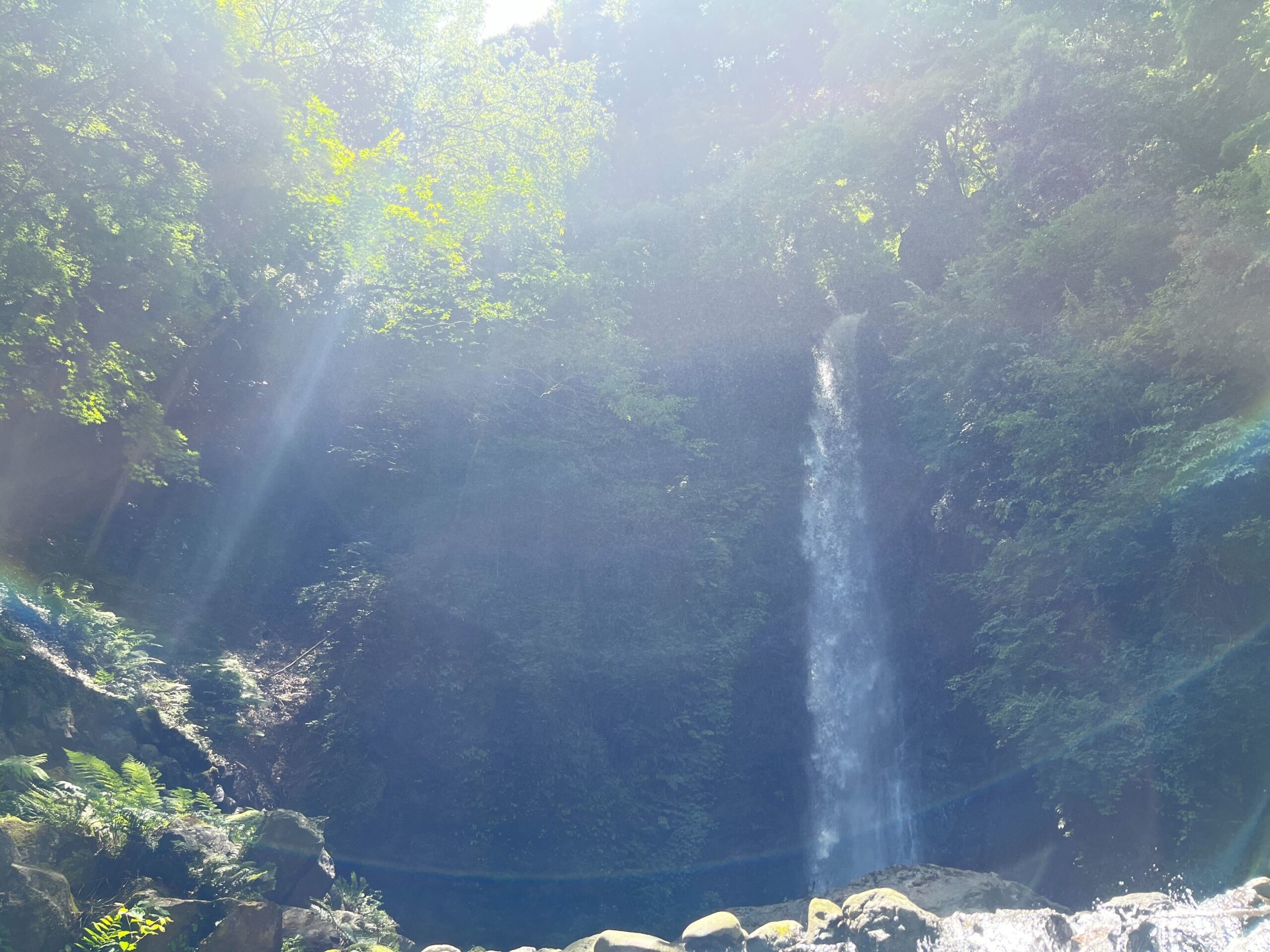 養老の滝