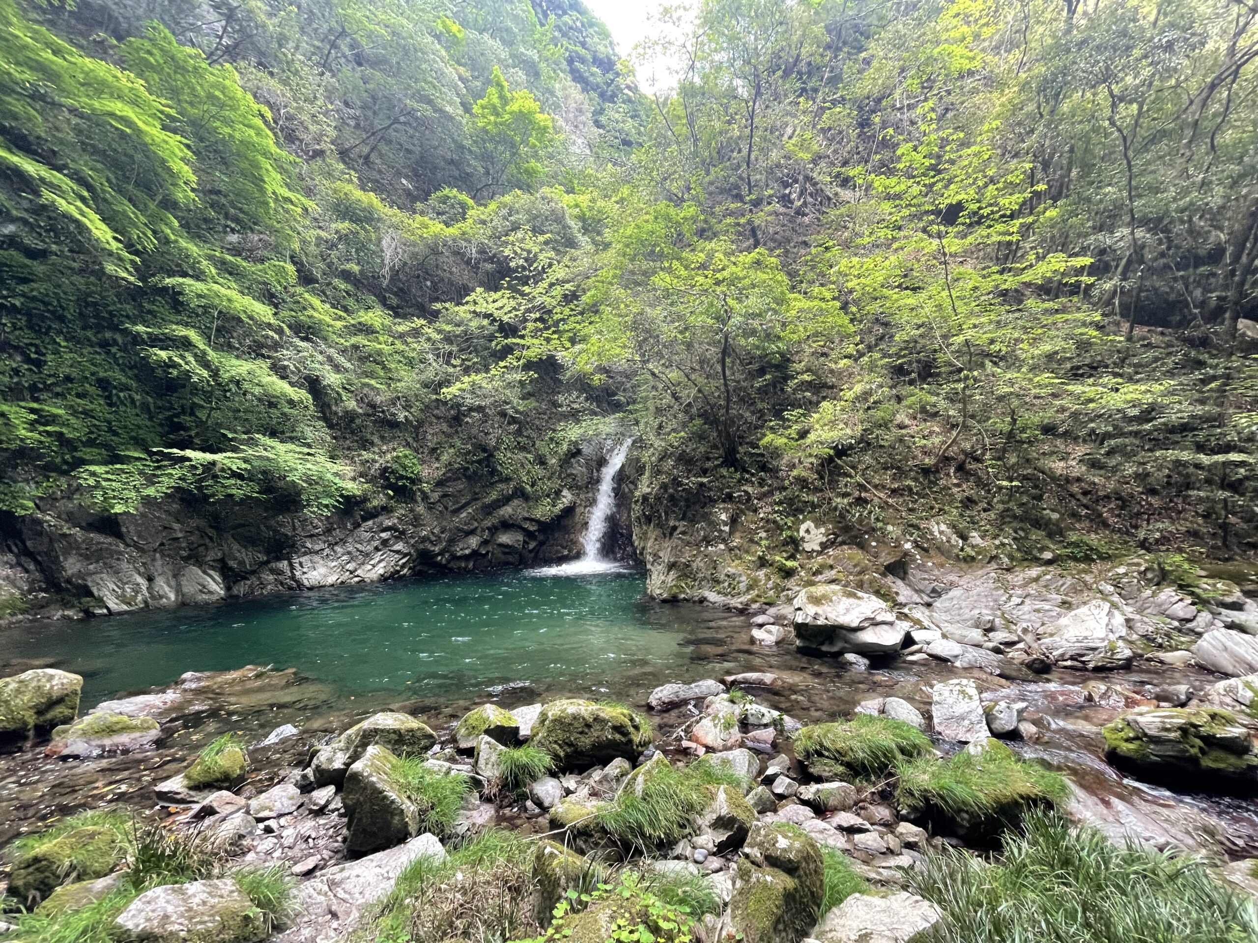 龍王権現の滝