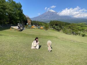 富士山！緑！動物！食べ物！