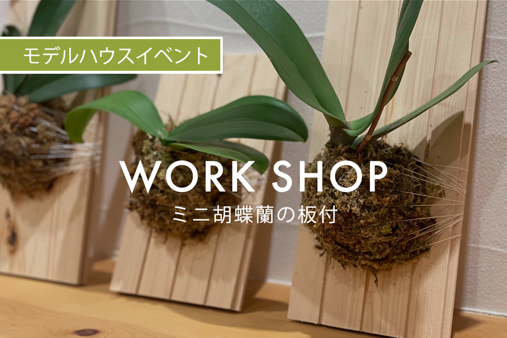 WORK SHOP『 ミニ胡蝶蘭の板付 』（モデルハウス名古屋）