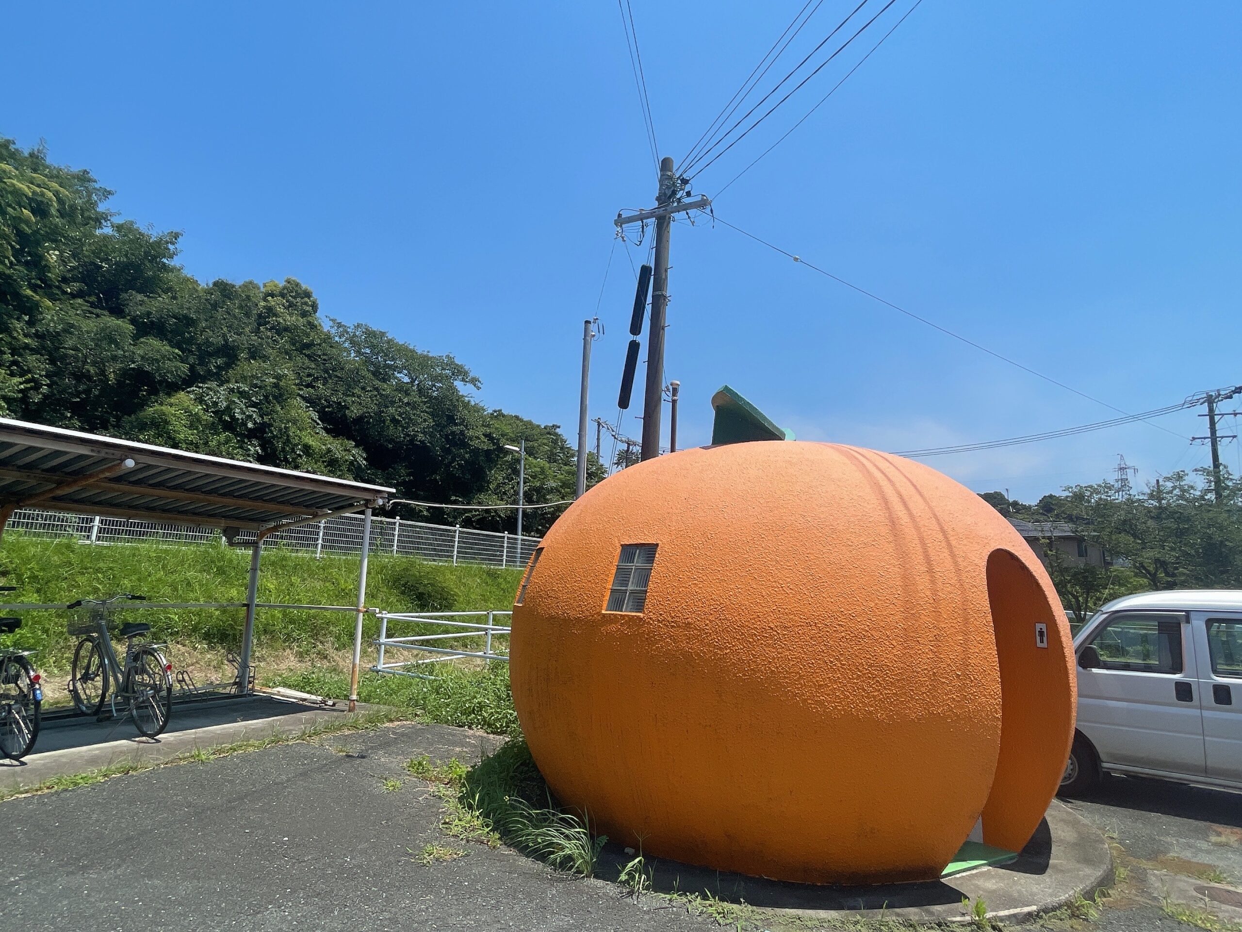 みかんのトイレの様子