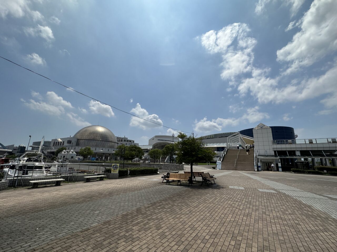 初水族館✨(息子が)