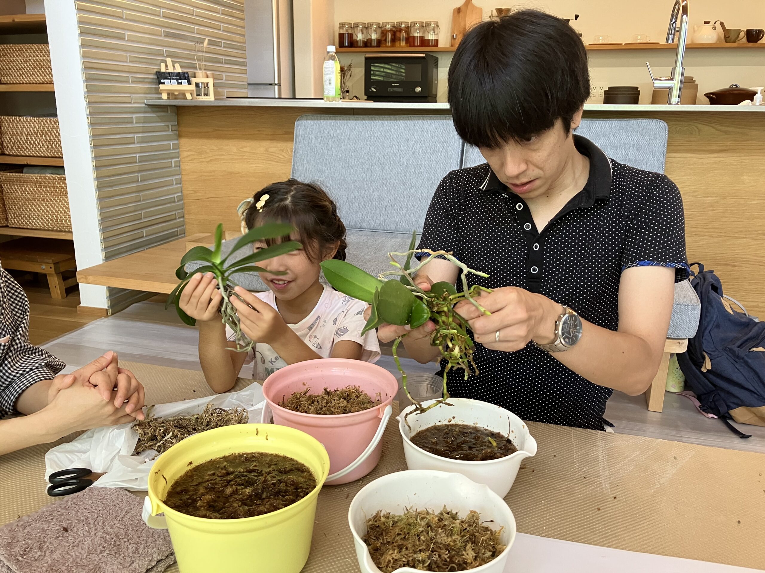 ワークショップ　ミニ胡蝶蘭の板付け