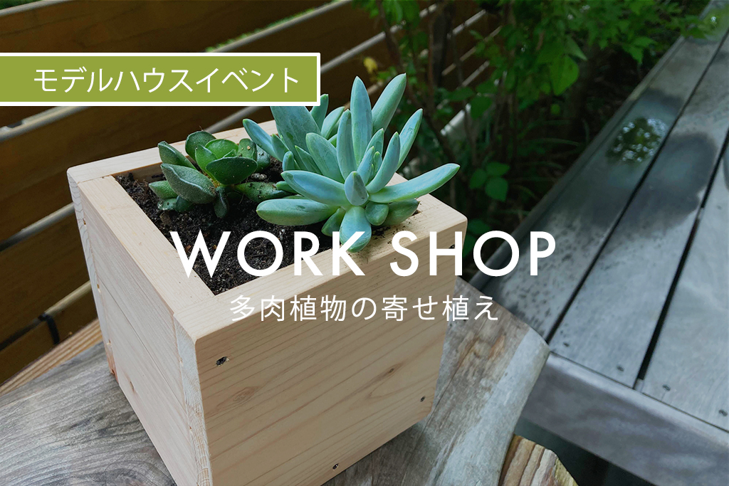 ■終了　WORK SHOP『 多肉植物の寄せ植え 』（モデルハウス名古屋）