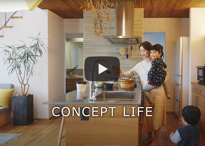 CONCEPT HOUSE