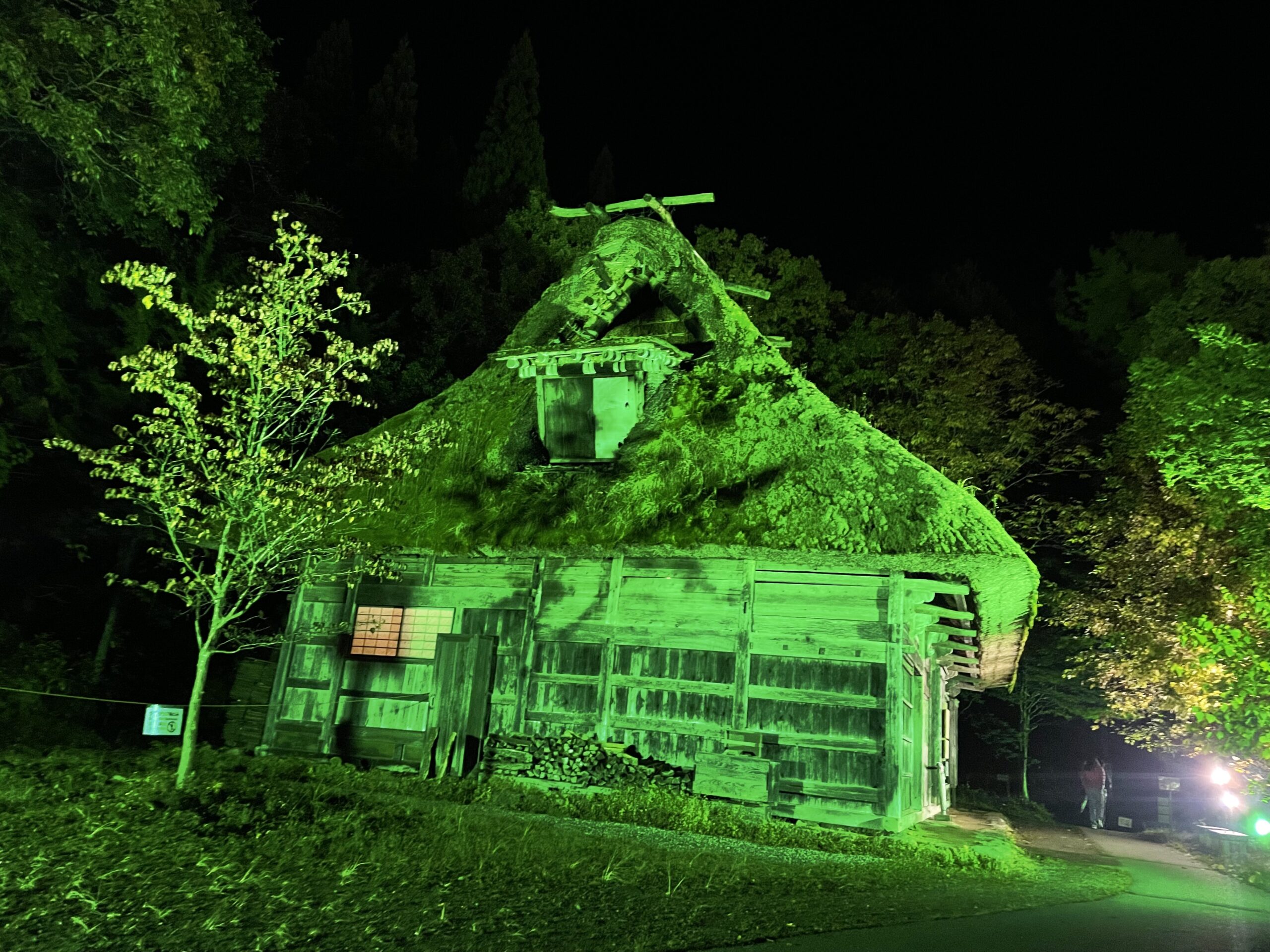 今も昔も変わらない🏠住まいの居心地に必要なこと