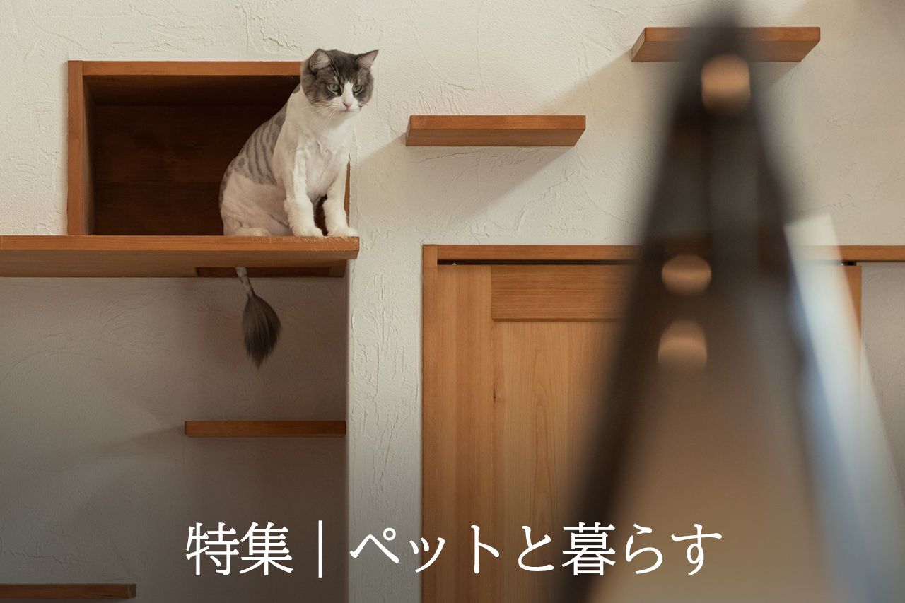 ペットと暮らす家づくり特集